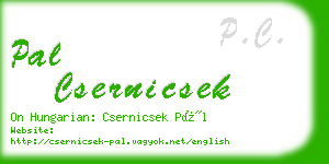 pal csernicsek business card